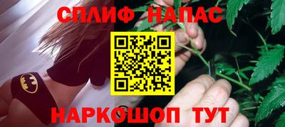 шишки Будённовск