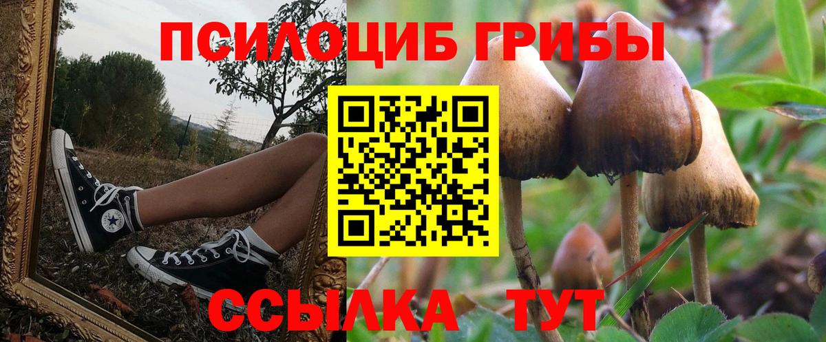Псилоцибиновые грибы Magic Shrooms Рассказово